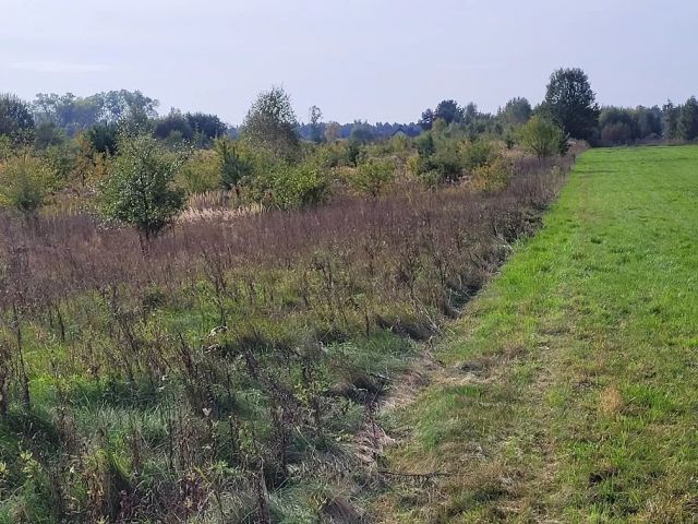 Działka siedliskowa Swolszewice Małe Swolszewice-Trzciniec, ul. Trzciniec. Zdjęcie 3