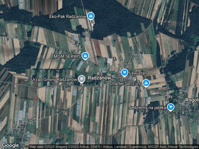 Działka leśna Radzanów. Zdjęcie 1