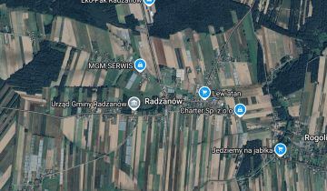 Działka leśna Radzanów