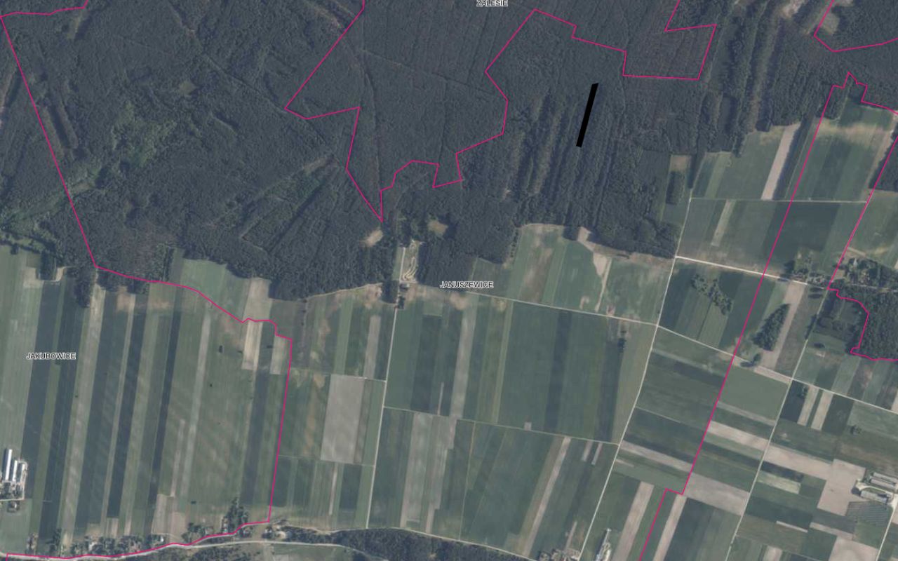 Działka leśna Januszewice. Zdjęcie 4