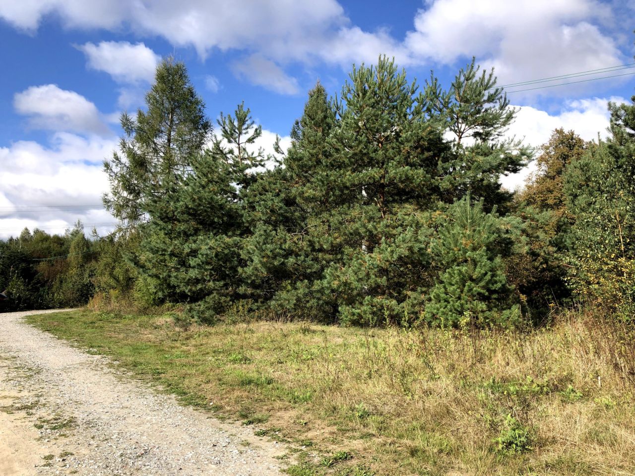 Działka budowlana Gonty, ul. Przy Rybakówce. Zdjęcie 7