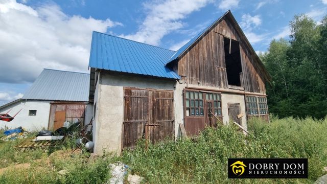 siedlisko, 4 pokoje Waliły-Dwór. Zdjęcie 14