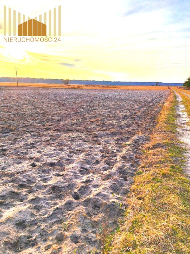 Działka siedliskowa Mrozy. Zdjęcie 2