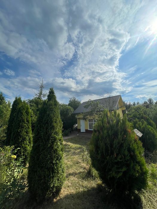 Działka rod Lublin Węglin. Zdjęcie 3