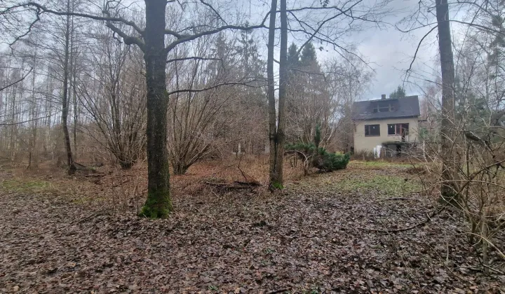 Działka leśna Rzgów, ul. Literacka