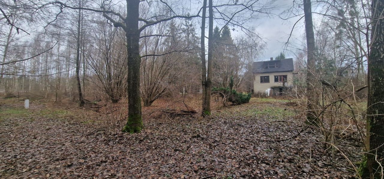 Działka leśna Rzgów, ul. Literacka. Zdjęcie 1