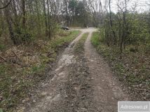 Działka leśna Dąbrowa Górnicza. Zdjęcie 4