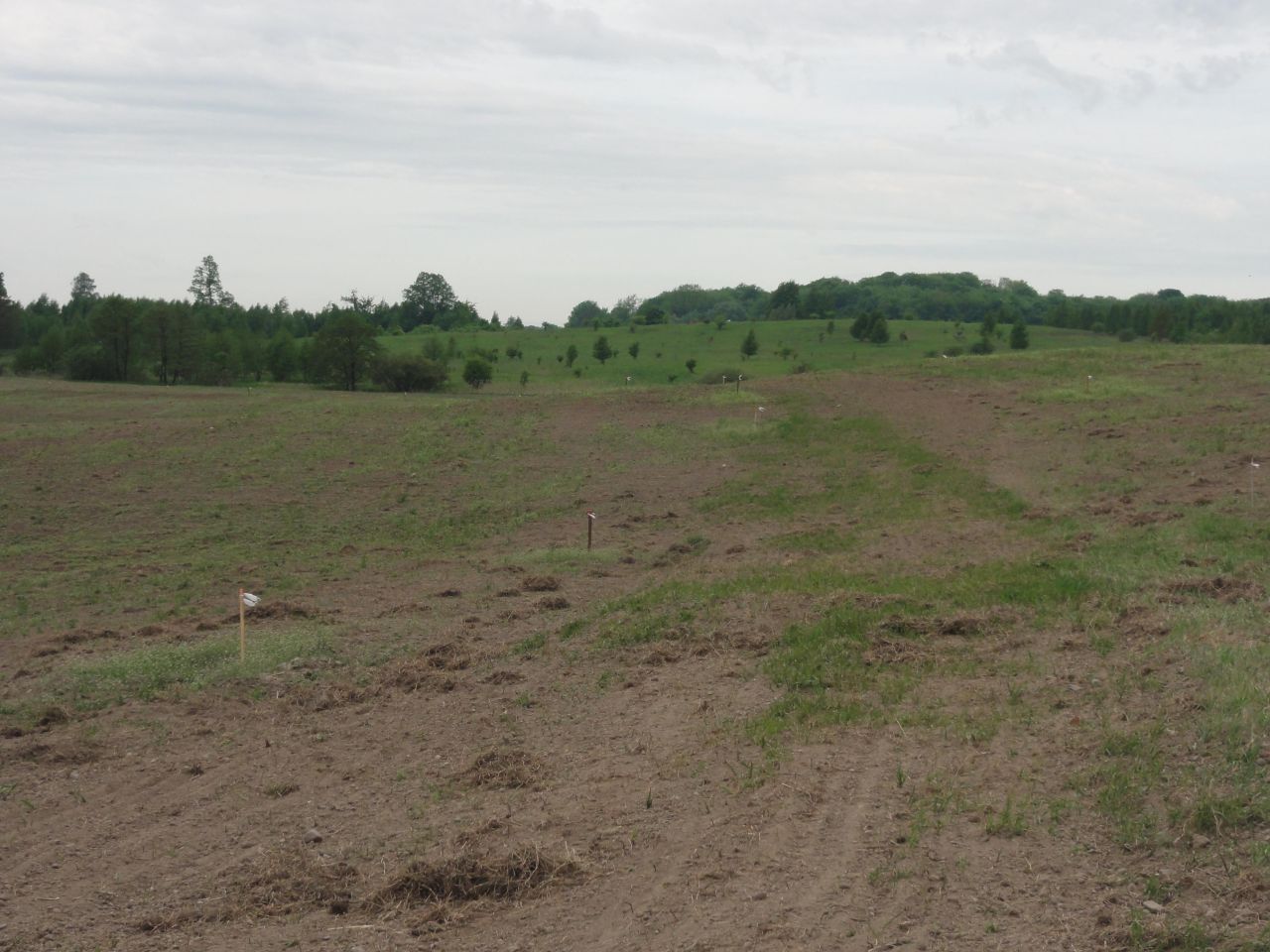 Działka budowlana Dziśnity. Zdjęcie 9