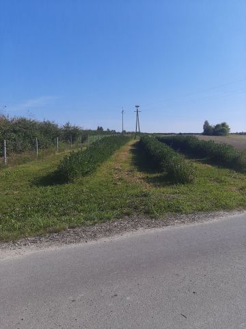 Działka rolno-budowlana Wólka Tarłowska. Zdjęcie 1