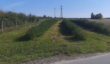 Działka rolno-budowlana Wólka Tarłowska