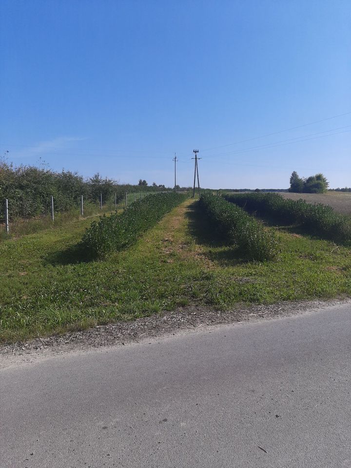 Działka rolno-budowlana Wólka Tarłowska