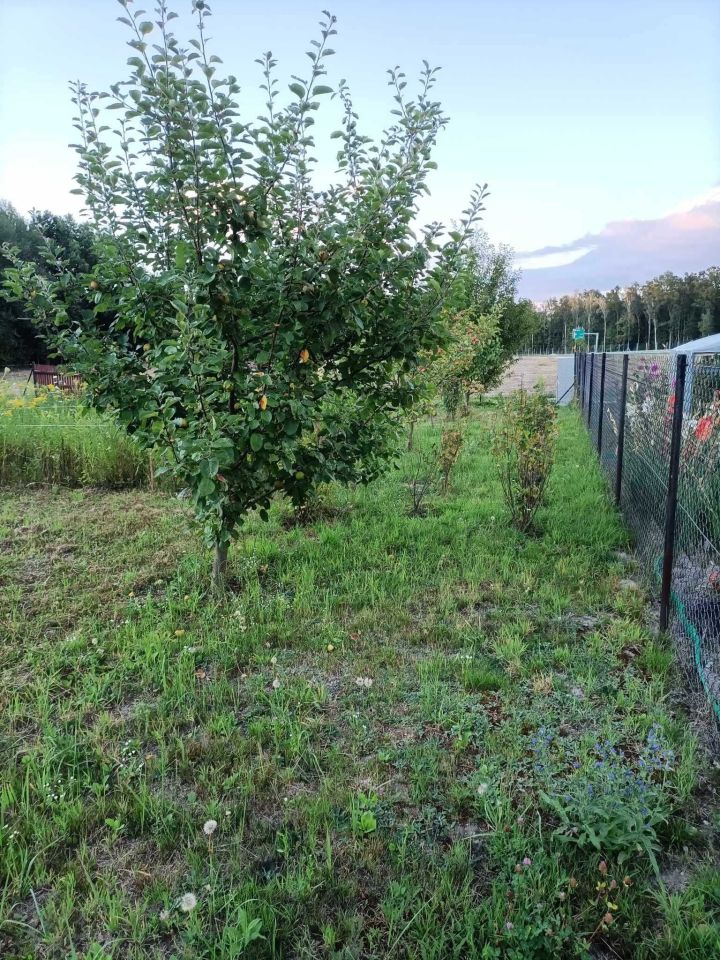 Działka budowlana Kraśnik Zarzecze Pierwsze. Zdjęcie 4