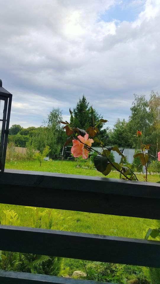 Działka rekreacyjna Radzynek. Zdjęcie 20