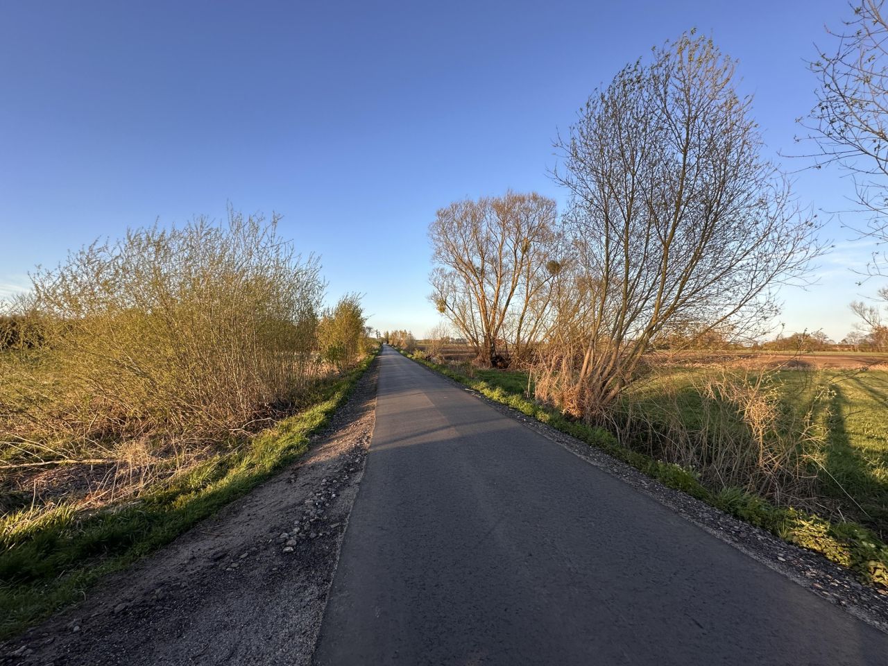 Działka budowlana Przynotecko. Zdjęcie 17