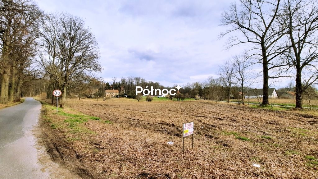 Działka Grodziec. Zdjęcie 11