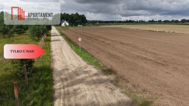 Działka rolna Grabowiec. Zdjęcie 9