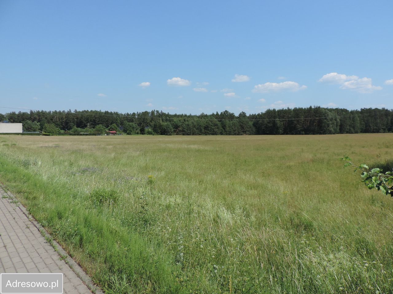 Działka rolno-budowlana Wyszewo. Zdjęcie 11