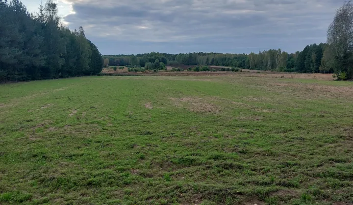 Działka budowlana Kaczyniec, ul. Starowiejska