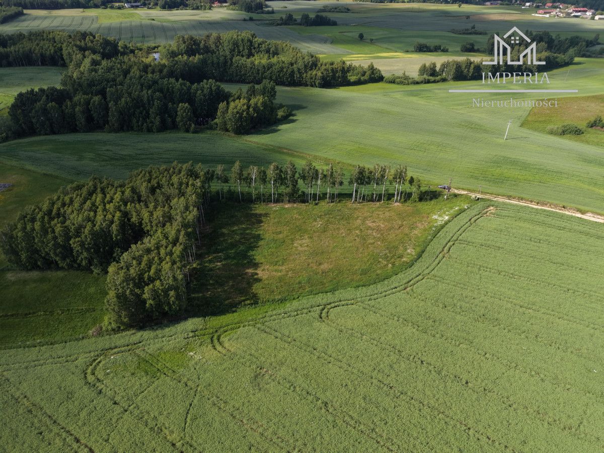 Działka inwestycyjna Stary Bukowiec. Zdjęcie 4