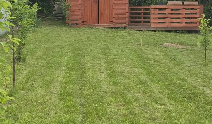 Działka rod Kunów, ul. Tadeusza Kościuszki