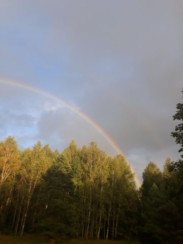 gospodarstwo, 3 pokoje Nowe Kawkowo. Zdjęcie 1