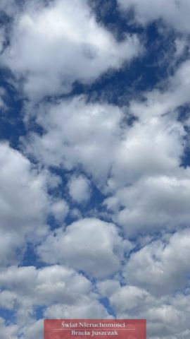 Działka rolna Piastowice. Zdjęcie 1