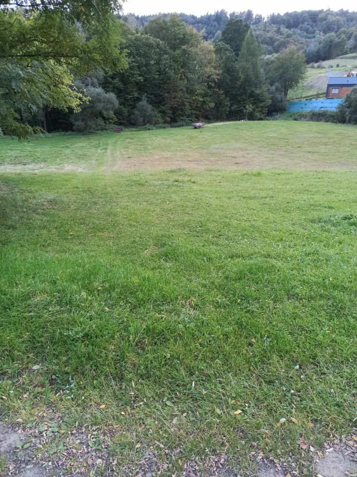 Działka rolno-budowlana Rybne. Zdjęcie 4