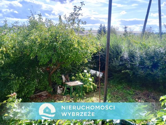 Mieszkanie 3-pokojowe Piotraszewo. Zdjęcie 27