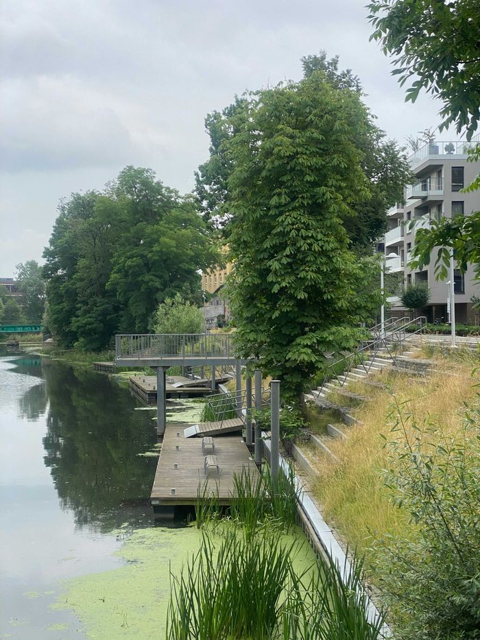 Mieszkanie 1-pokojowe Wrocław Śródmieście, ul. Walońska. Zdjęcie 3