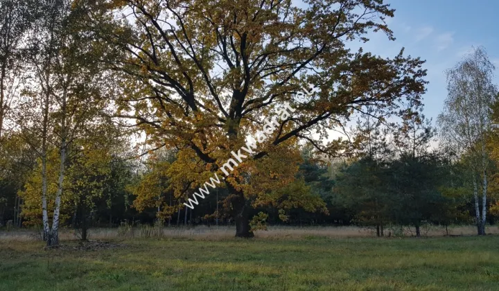 Działka budowlana Makówka, mmm.mkwadrat.eu