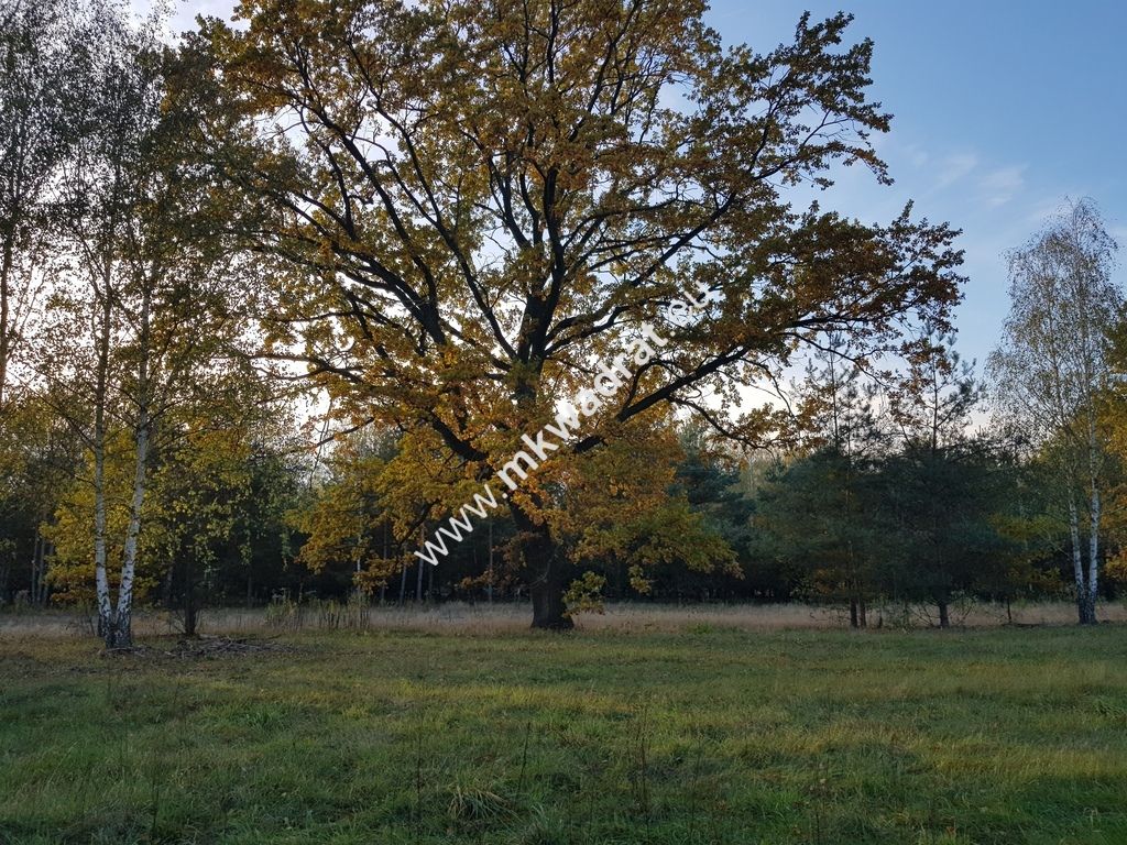 Działka budowlana Makówka, mmm.mkwadrat.eu. Zdjęcie 1