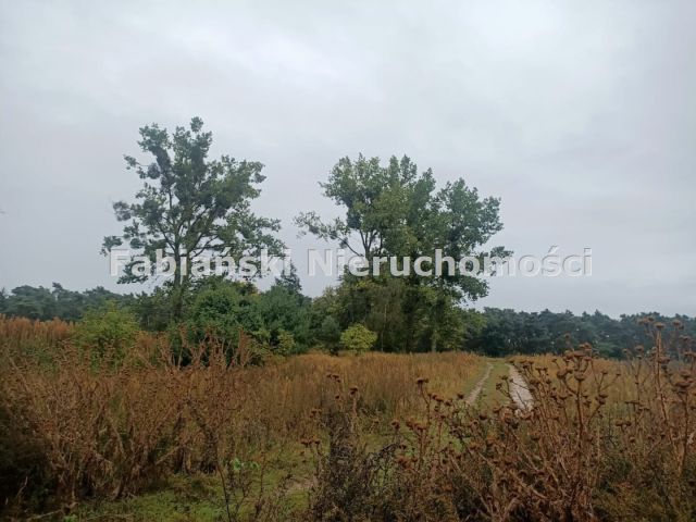 Działka budowlana Lusówko. Zdjęcie 3