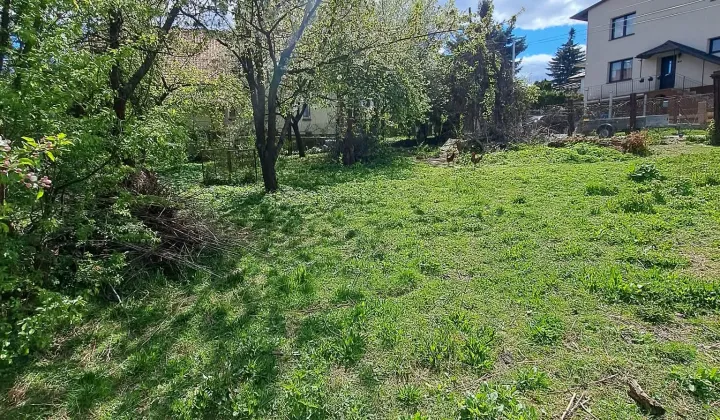 Działka rolna Rzeszów Staroniwa, ul. Rolnicza