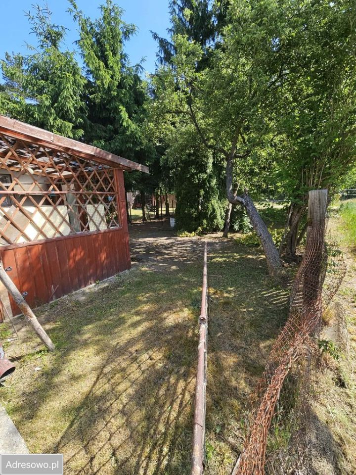 gospodarstwo, 4 pokoje Strzyżewo. Zdjęcie 8