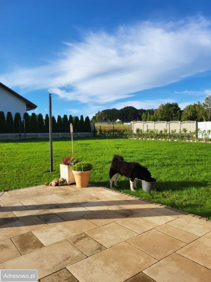 dom wolnostojący, 4 pokoje Górzyn. Zdjęcie 17