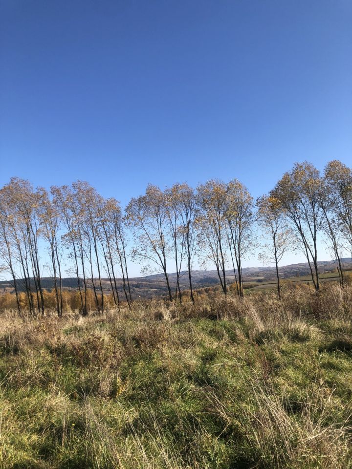 Działka rolna Jawornik Za Górą. Zdjęcie 3