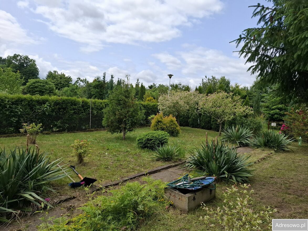 Działka rod Jastrzębie-Zdrój, ul. Wolności. Zdjęcie 4