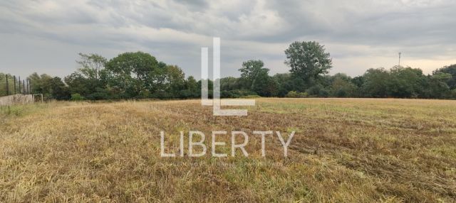 Działka rolna Barnisław. Zdjęcie 2