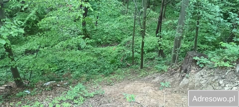 Działka rekreacyjna Błażkowa. Zdjęcie 2