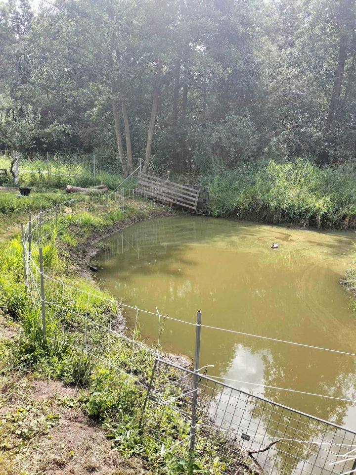 Działka rod Wrocław Kłokoczyce. Zdjęcie 5