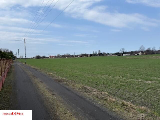 Działka rolna Żaby. Zdjęcie 7
