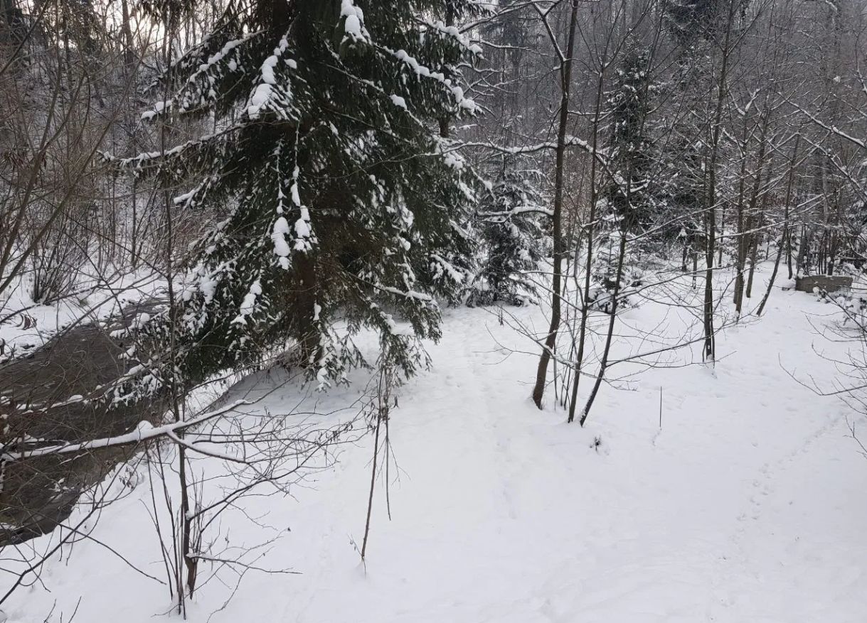 Działka budowlana Nowy Targ, ul. Kowaniec. Zdjęcie 7