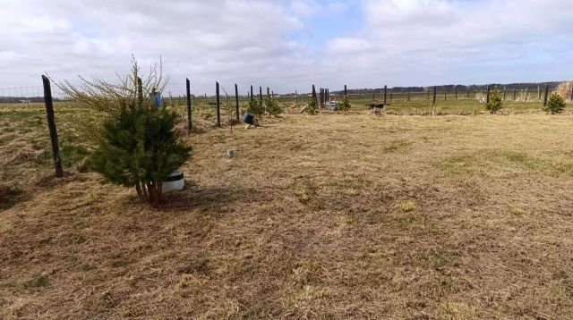 Działka rolna Karwieńskie Błoto Drugie, ul. Wczasowa. Zdjęcie 1