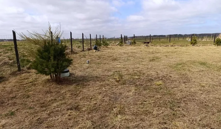 Działka rolna Karwieńskie Błoto Drugie, ul. Wczasowa