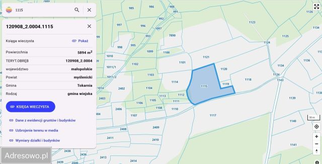 Działka rolna Tokarnia. Zdjęcie 1