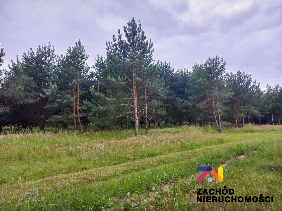 Działka budowlana Zabór