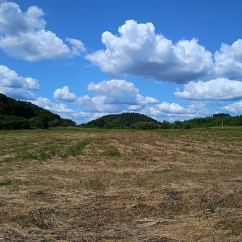 Działka rolna Radolin. Zdjęcie 1