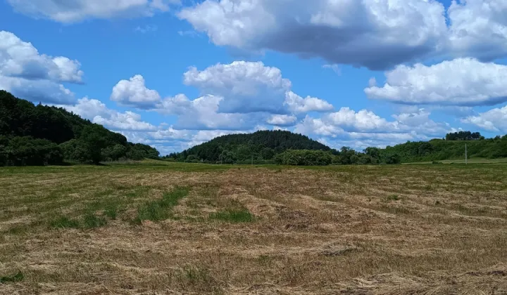 Działka rolna Radolin