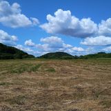 Działka rolna Radolin