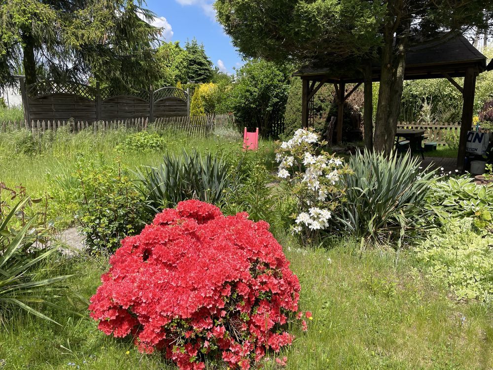 Działka rod Kalisz, ul. Poranna. Zdjęcie 4